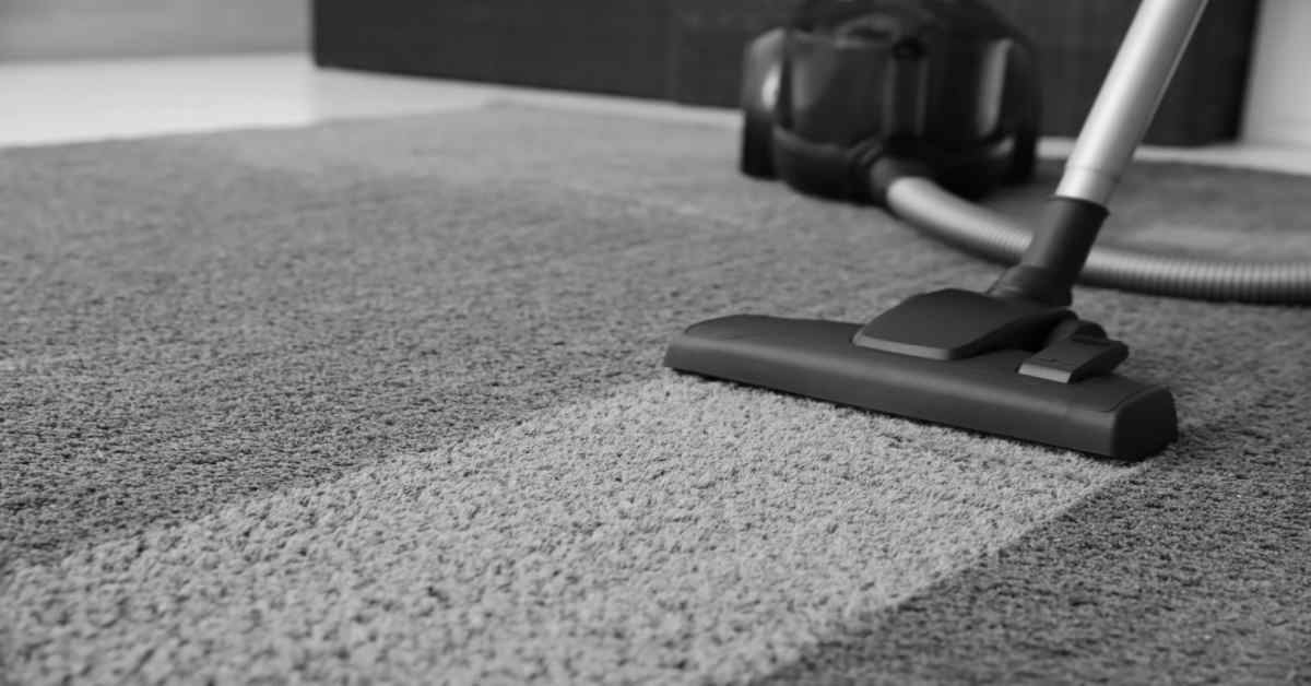 Beyond Vacuuming The Art and Science of Modern Carpet Cleaning